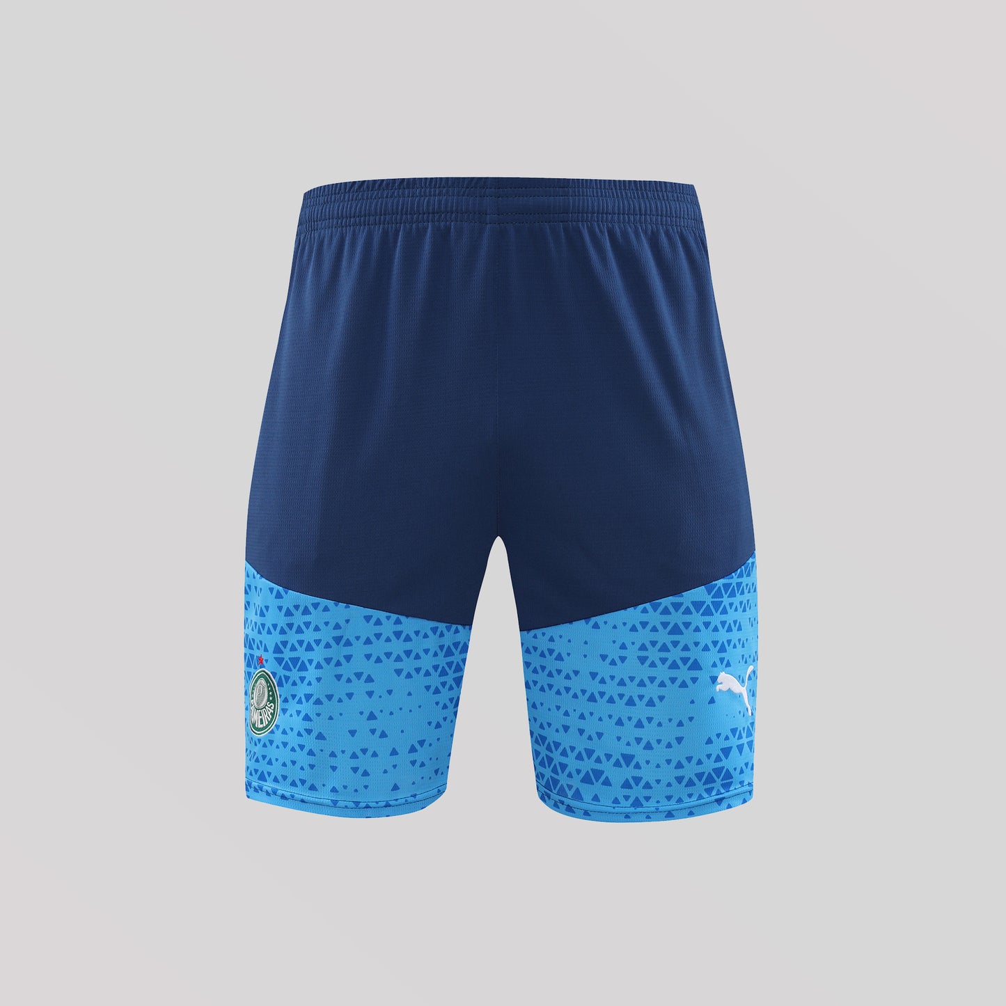 Palmeiras 24/25 Training Kit - FutKulture