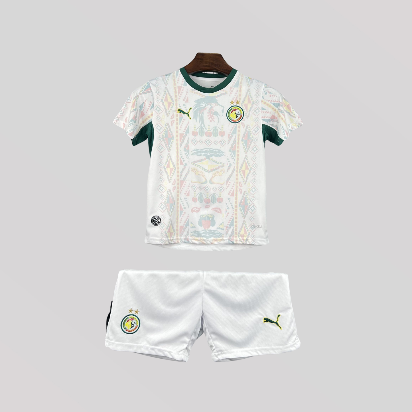 Senegal World Cup Home Kids Size Kit