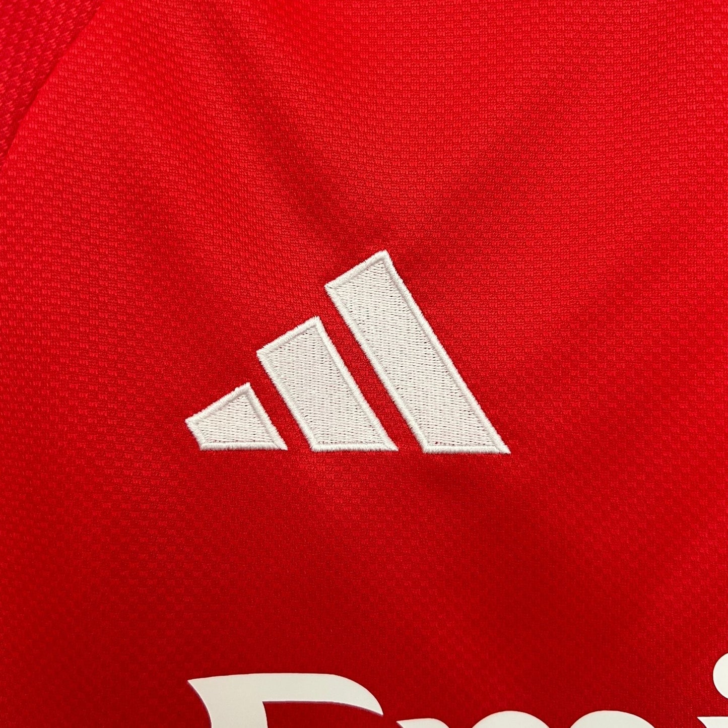25/26 SL Benfica Home Long Sleeve Kit - FutKulture