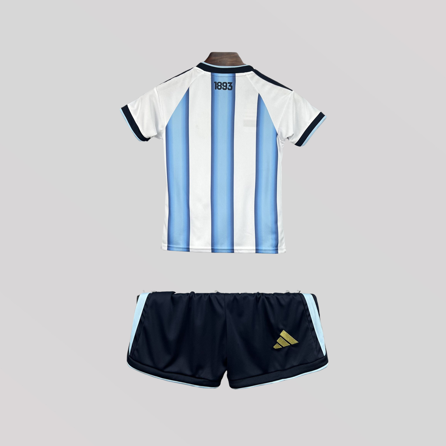 Argentina World Cup Home Kids Size Kit