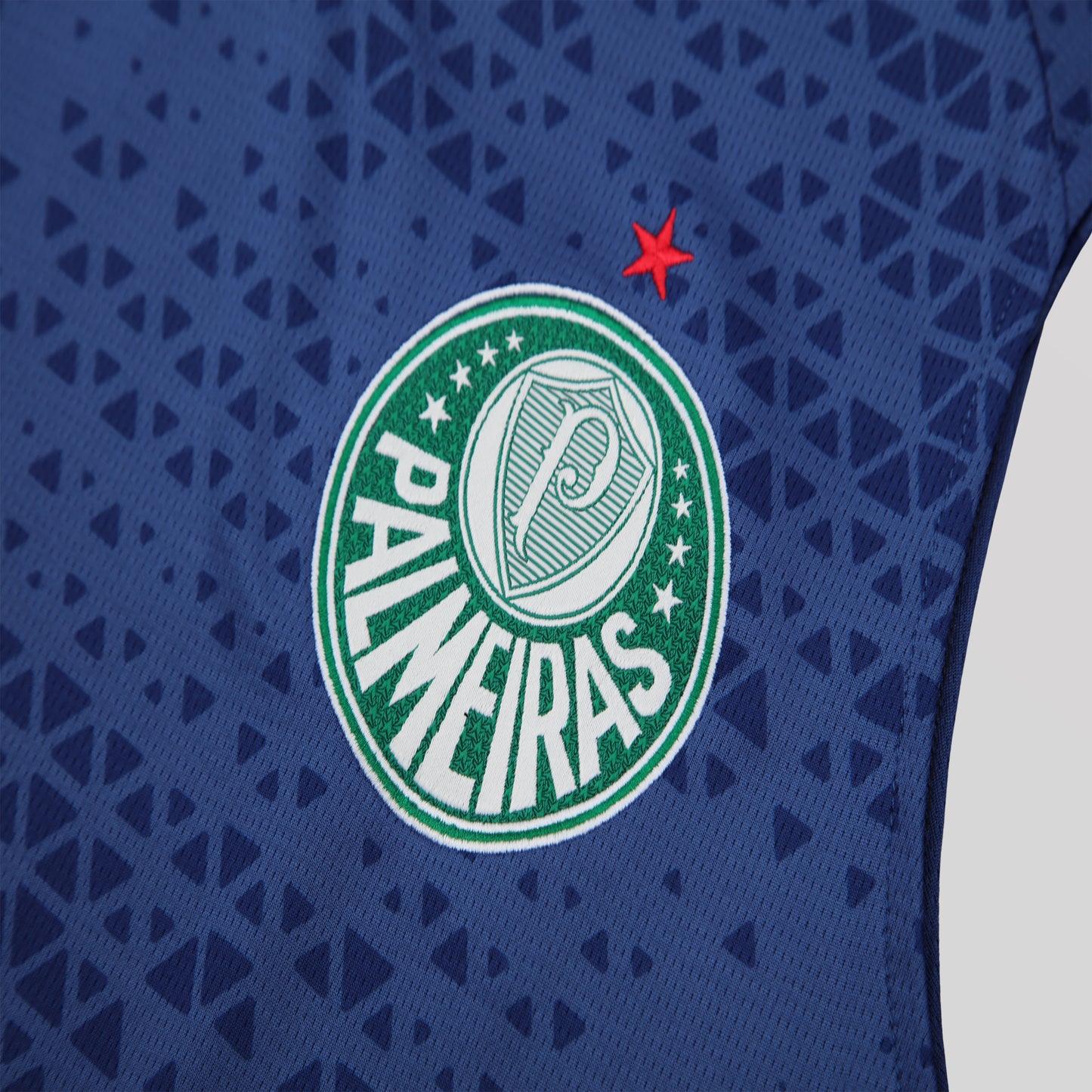 Palmeiras 24/25 Training Kit - FutKulture
