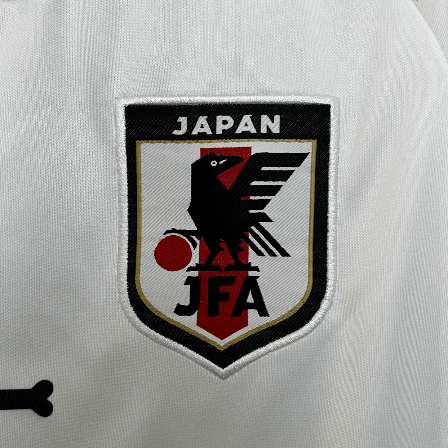 Japan "Portgas D. Ace" Premium Kit - FutKulture